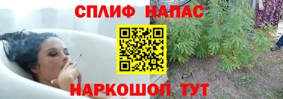 ПСИЛОЦИБИНОВЫЕ ГРИБЫ Кузнецк