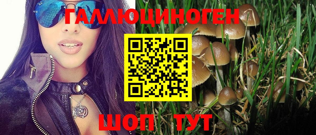 Галлюциногенные грибы Cubensis Верхний Уфалей