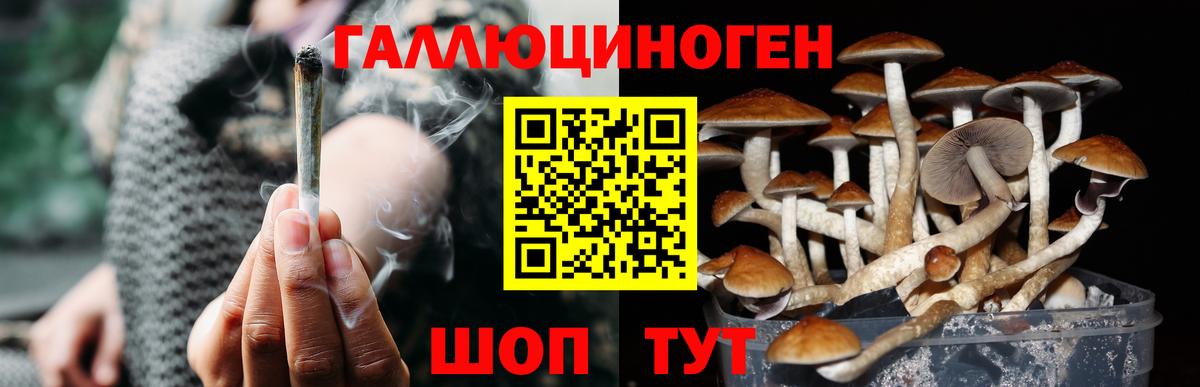 Псилоцибиновые грибы Cubensis  Галлюциногенные грибы MAGIC MUSHROOMS  Верхний Уфалей  Вход с VPN 